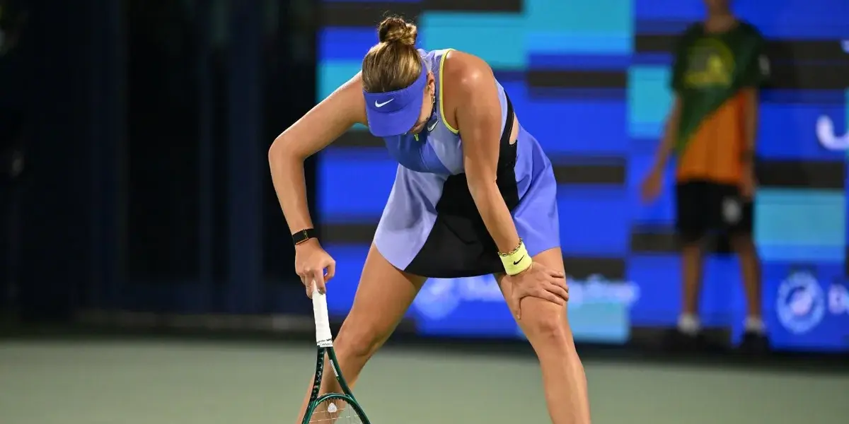 amanda anisimova — PL news