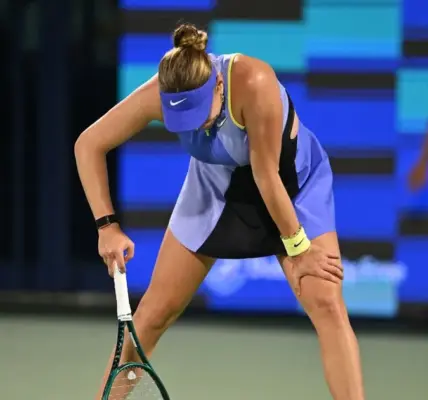 amanda anisimova — PL news