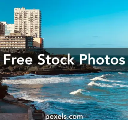 argentyna — PL news