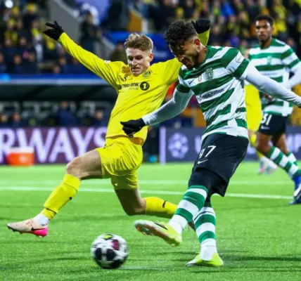 bodø/glimt – sporting cp — PL news