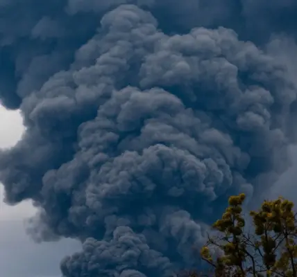 briańsk — PL news