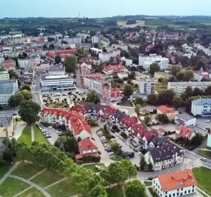 burmistrz trzebnicy — PL news