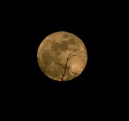 czerwony księżyc — PL news