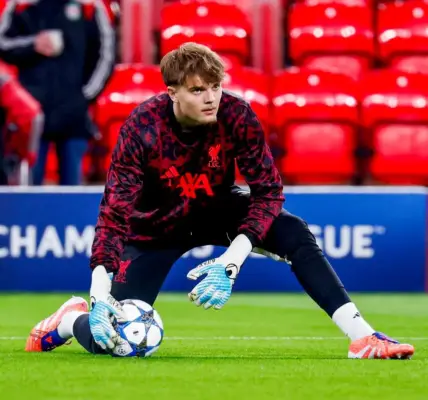 kornel miściur — PL news