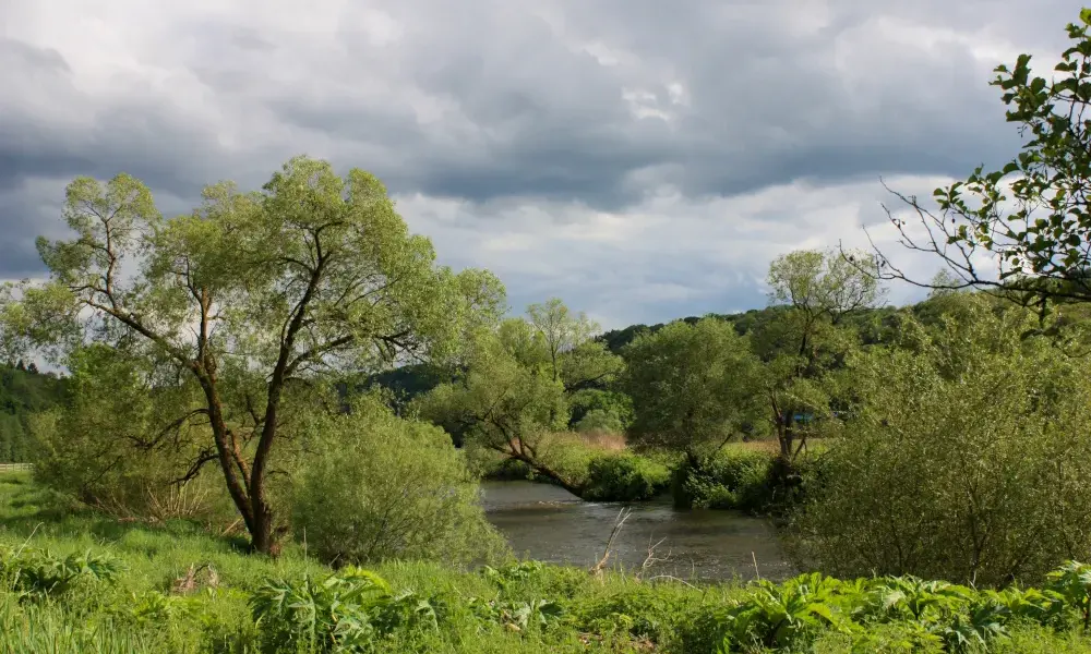 krakow pogoda — PL news