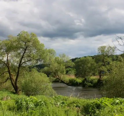 krakow pogoda — PL news