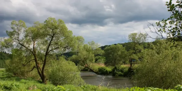 krakow pogoda — PL news