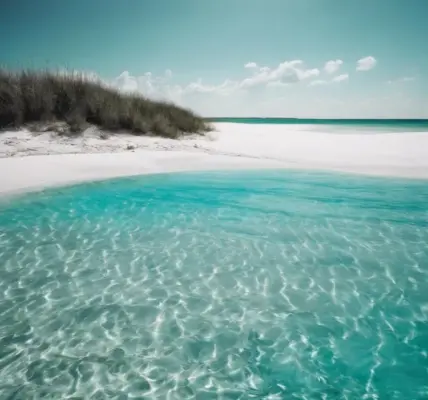 malediwy — PL news