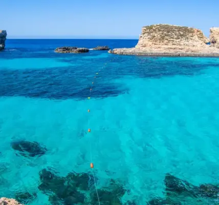 mauritius — PL news