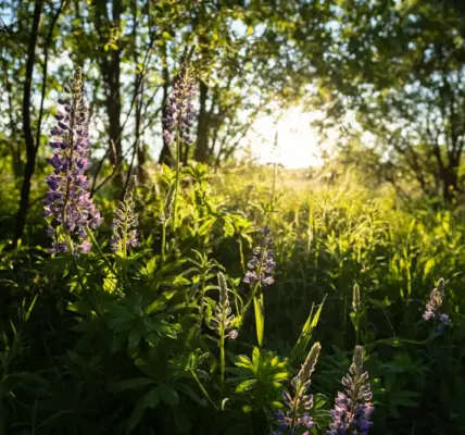 pogoda bydgoszcz — PL news