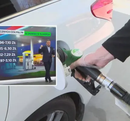 prognozy ceny paliwa — PL news