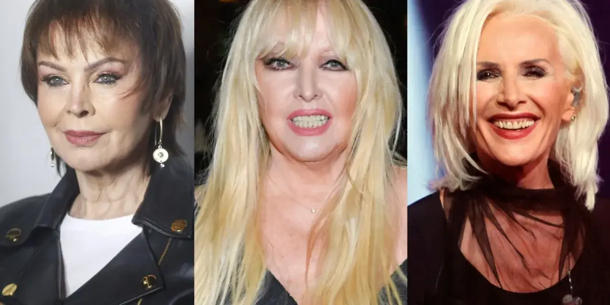 rodowicz — PL news