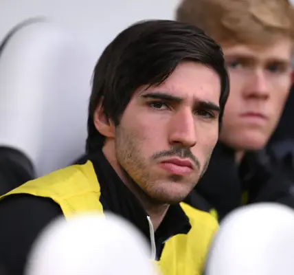 sandro tonali — PL news