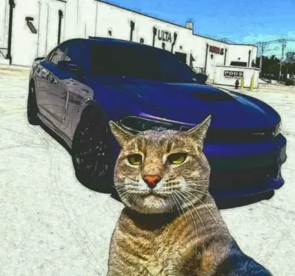 tomasz konys koni — PL news