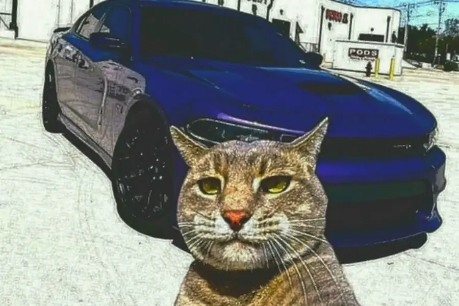 tomasz konys koni — PL news