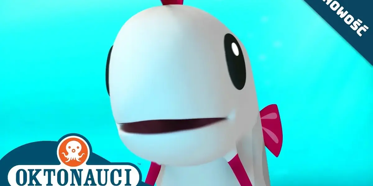 wstęgor królewski — PL news