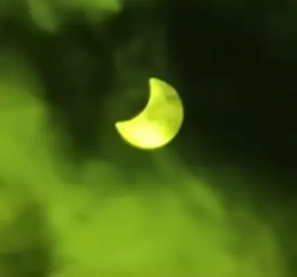 zaćmienie słońca — PL news