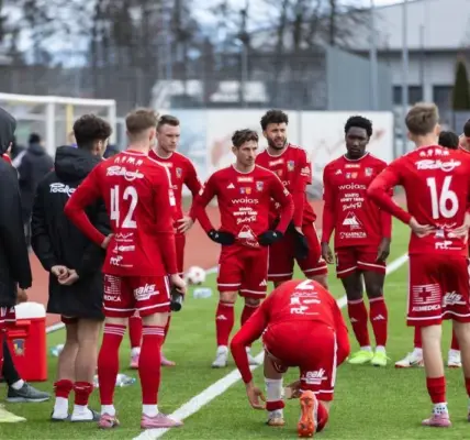 zagłębie sosnowiec — PL news