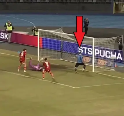 zawisza bydgoszcz — PL news