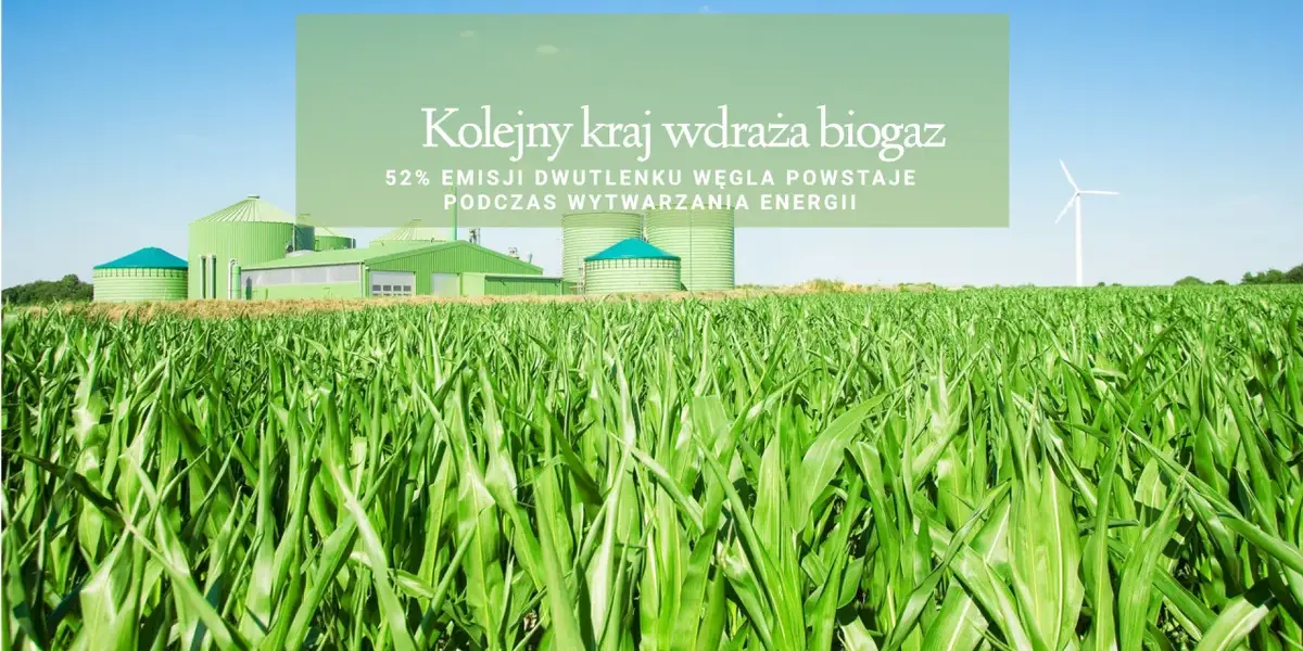 dziennikarz — PL news