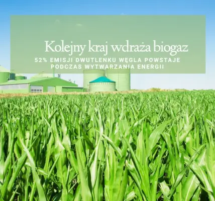 dziennikarz — PL news