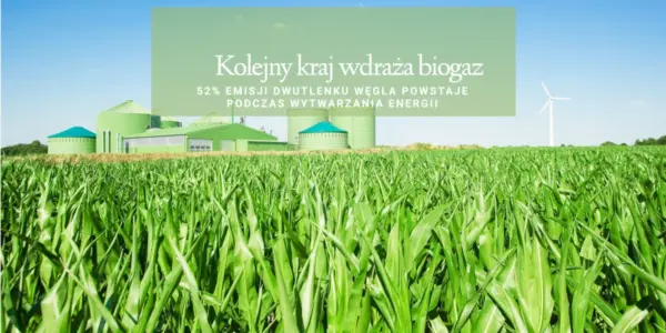 dziennikarz — PL news