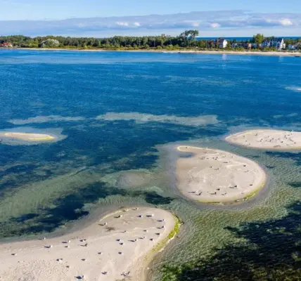 malediwy — PL news