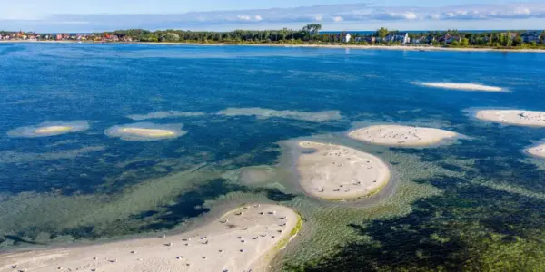 malediwy — PL news