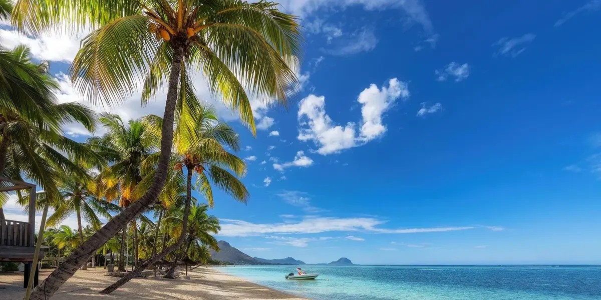 mauritius — PL news