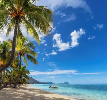 mauritius — PL news