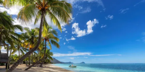 mauritius — PL news