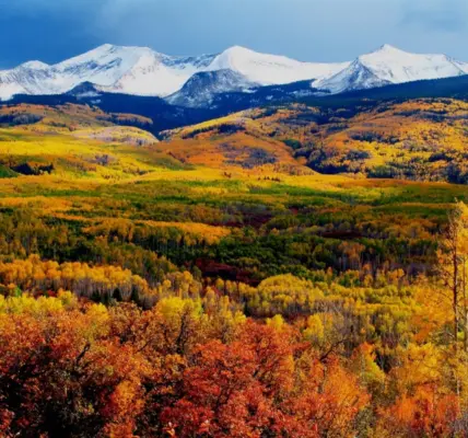 pictures — PL news