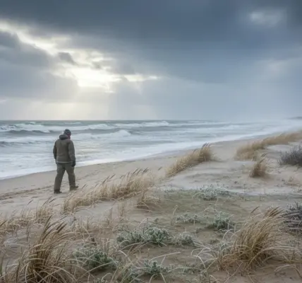 pogoda gdynia — PL news