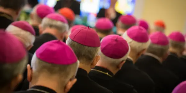 polsat news — PL news