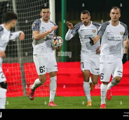 puszcza – polonia — PL news