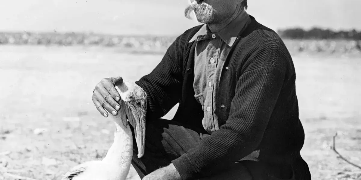 roosevelt — PL news