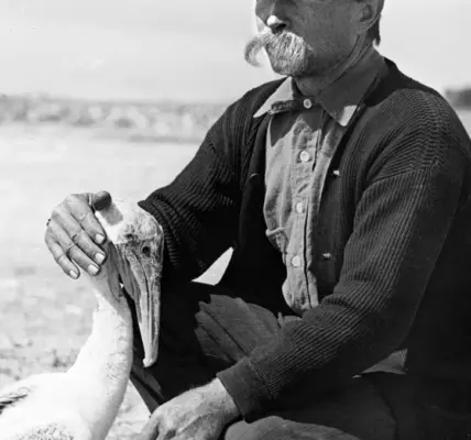 roosevelt — PL news