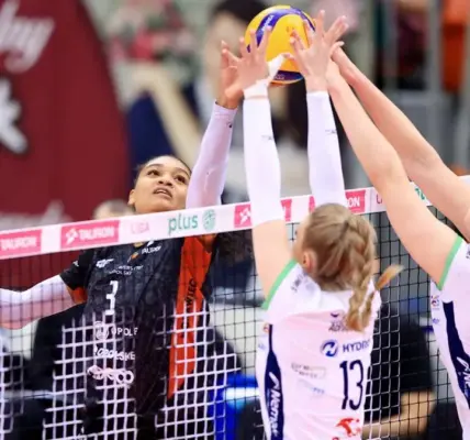 tauron liga — PL news