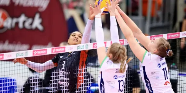 tauron liga — PL news