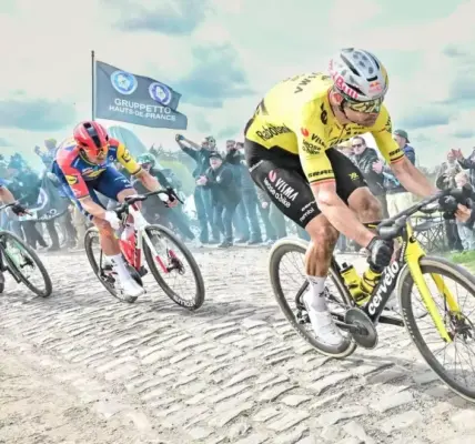 wout van aert — PL news