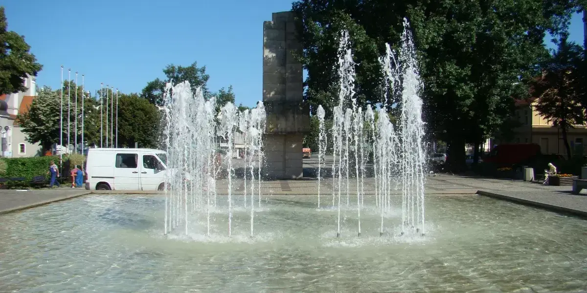 zkż zielona góra — PL news