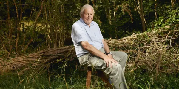 david attenborough — PL news