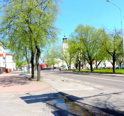 łuków — PL news