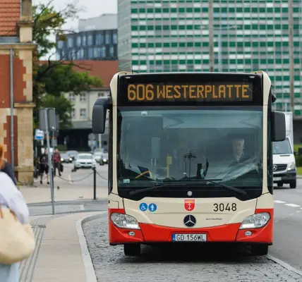 zoo gdańsk — PL news