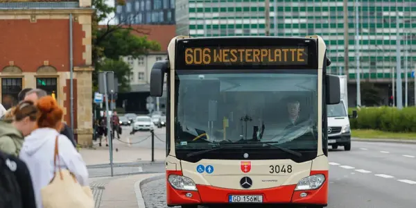 zoo gdańsk — PL news