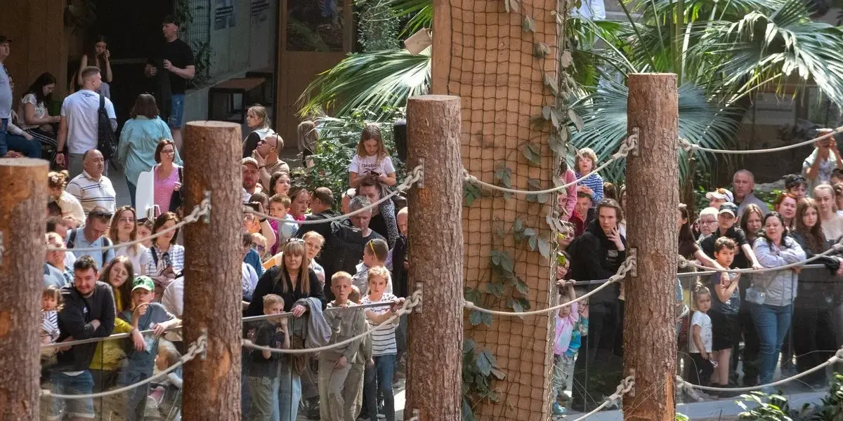 zoo — PL news