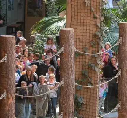 zoo — PL news