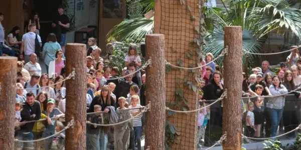 zoo — PL news
